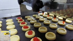 筋餅機(jī)一次成型全自動(dòng)筋餅機(jī)通利食品機(jī)械