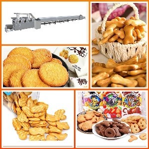 小型餅干機(jī)器品牌/朗